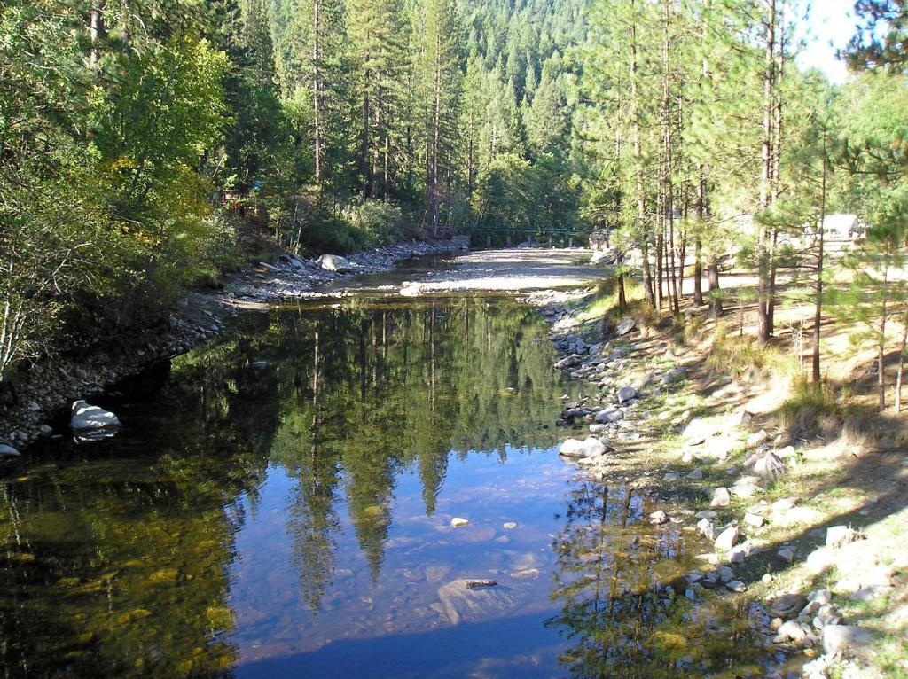 Yosemite Lakes Cabin 40 Main image 1